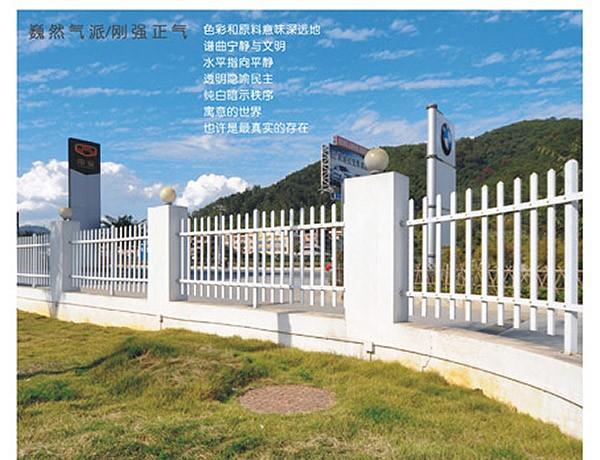 澳宝典资料